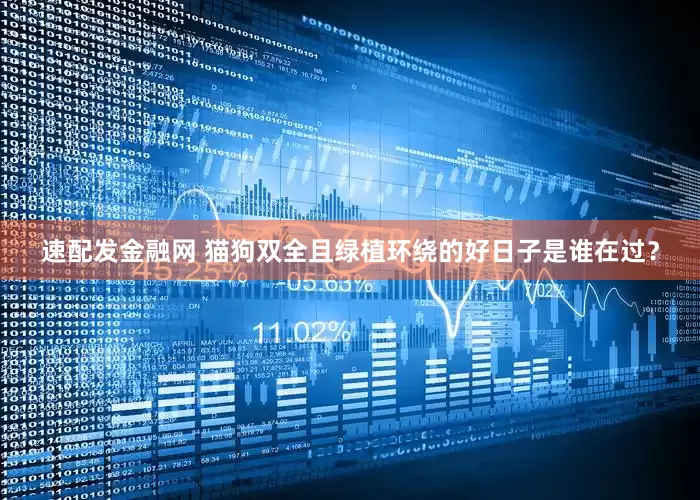 速配发金融网 猫狗双全且绿植环绕的好日子是谁在过？